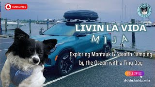 Explore Montauk amp Stealth Camping by the Ocean wTiny Dog 🌊🚙  Livin La Vida Mija Ep 5 dogtravel [upl. by Kacy]