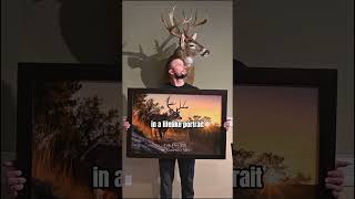 Taxidermy Addon hunting deerhunting digitaltaxidermy deerseason [upl. by Nottus]