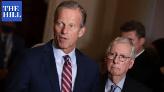 McConnell Urges Thune To Run For Reelection Amid Retirement Talk [upl. by Aeslehc]