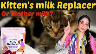 Can we use milk replacer for kittens cat milk k sath kia milk replacer bhi kittens ko dy skty hai [upl. by Yellek]