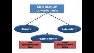 ECG course Classification of Tachyarrhythmias Dr Sherif Altoukhy [upl. by Odarnoc836]