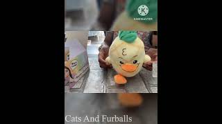 Unboxing Moriah Elizabeths Plushie [upl. by Trebmer372]