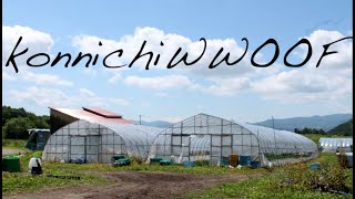 konnichiWWOOF  WWOOFing in Japan [upl. by Akeihsat]