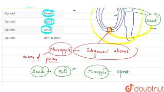 Micropyle occurs is [upl. by Etteloc886]