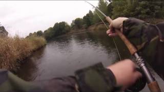 HOW TO CATCH A SALMON ON THE FLY [upl. by Winola]