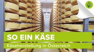 So ein Käse – Käseherstellung in Österreich [upl. by Gerc]