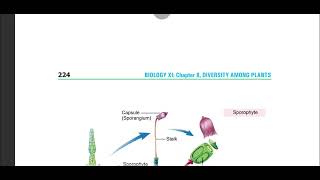 NonVascular plants Bryophytes Bryophytes their divisions and life cycle Bryophytes nonvascular [upl. by Rattray320]