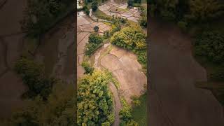 Beautiful Bird eye view 😍canitakeaphoto photographer cinematography naturephotography [upl. by Adav]