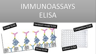 The Principle of Immunoassays ELISA Enzyme Linked Immunosorbent Assay [upl. by Zulema]