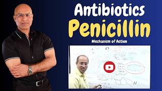 Penicillin  Antibiotics  Mechanism of Action  Pharmacology💊 [upl. by Gnep]