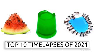 TEMPONAUT Top 10 Timelapses 2021 [upl. by Ellehcir626]