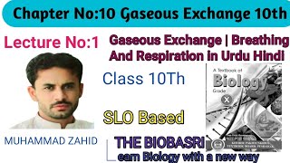 Gaseous Exchange  Breathing And Respiration in Urdu Hindi  Class 10 [upl. by Annaihs950]