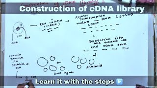 cDNA library ll biology ll [upl. by Ycnaf848]