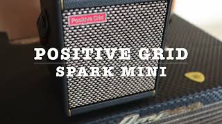 Positive Grid Spark Mini and Ampeg B50R ベース弾き比べ [upl. by Kenwrick697]