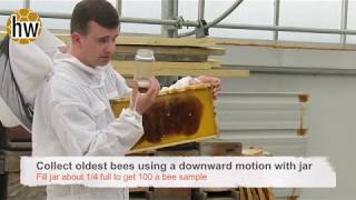 Spring BeekeepingHow and when to treat for Varrroa Mites May 8 [upl. by Rudd978]