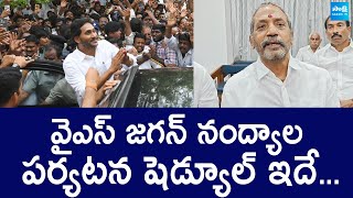 Katasani Rambhupal Reddy About YS Jagan Nandyal Schedule  SakshiTVLIVE [upl. by Bartholomeus]