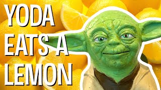 YODA EATS A LEMON  The Puppet Yoda Show [upl. by Anadal]