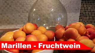 🍷 AprikosenWein selber machen 🍷  Fruchtwein aus frischen Marillen  Fermentastisch [upl. by Ynnep682]