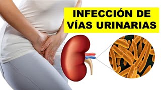 INFECCIÓN de VÍAS URINARIAS  Síntomas Causas y Tratamiento ¿Cómo CURAR las INFECCIONES URINARIAS [upl. by Samp]