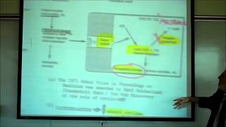 SYNAPTIC TRANSMISSION IN THE CNS PART 2 by Professor Fink [upl. by Lynnelle798]