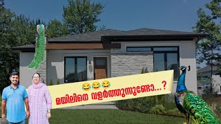 മയിലിനെ വളർത്തുന്നുണ്ടോ 😂😂😂 raftalkscricket [upl. by Akim879]