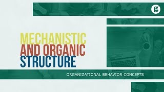 Mechanistic and Organic Structure [upl. by Aticilef]