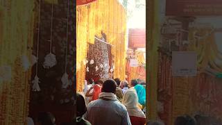 jai maa shitla Mata 🙏🏻 ravindra Singh Jyoti short jaunpur devdipawali viralshort shorts short [upl. by Liggett997]