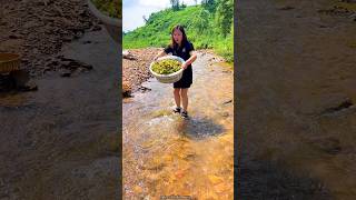 Amazing Fresh Hazelnut 🌰🌰 Harvest from Farm amp Rural Farmer Activites 👍 shorts satisfying [upl. by Nordna154]