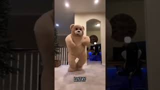 Funny bear dancing lily13457 funnyvideo [upl. by Sharon]