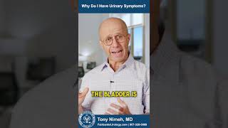 Why Do I Have Urinary Symptoms  Fairbanks Urology  Dr Tony Nimeh [upl. by Eenerb291]