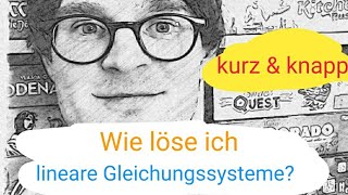 lineare Gleichungssysteme  welches Lösungsverfahren wende ich an rechnerische Lösung [upl. by Atinauj209]