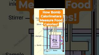 How Food Calories Are Measured Bomb Calorimeter Explainedshorts shortsfeed caloriecount [upl. by Silrac]