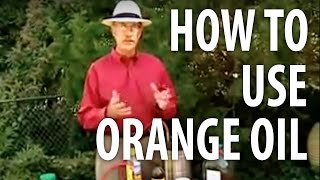 How To Use Orange Oil  The Dirt Doctor [upl. by Alletsirhc]