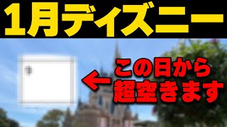 2024年1月～2月ディズニーランドとディズニーシーの混雑予想｜絶対に気を付けたい注意点も [upl. by Glass63]