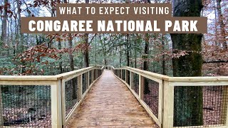 Congaree National Park What to Expect When You Visit [upl. by Millham663]