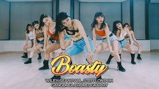 Wiley Sean Paul Stefflon Don  Boasty  Gangdrea Choreography [upl. by Nakasuji]