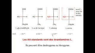 Propriétés physico chimiques des AA [upl. by Luisa]