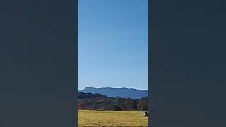 So why do these mountains look blue See answer in description mountains shortsvideo appalachia [upl. by Ralston]