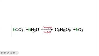 PhotochemistryCHEM201 Photochemistry and catalysisBSc II [upl. by Zerline]