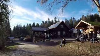 Rundwanderung Wildsee  Grünhütte  Hohlohsee  Hohlohturm [upl. by Perkoff]