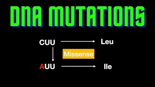 USMLE Step 1  Lesson 9  Mutations in the DNA [upl. by Jefferson]