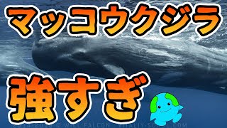 マッコウクジラが強すぎる理由がこちら【解説】 [upl. by Attey]