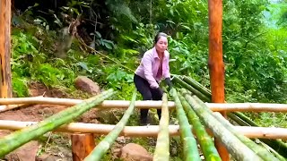 This young woman built a bamboo house to live in and the result was surprising😲 [upl. by Kamat]