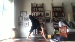 Yoga Flow L 23 Play with Yogi Dandasana Variations [upl. by Etnauj]