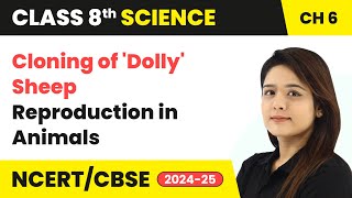 Cloning of Dolly Sheep  Reproduction in Animals  Class 8 Science Chapter 6  CBSE 202425 [upl. by Adnek]