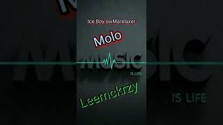 Ice Boy owMarelaxeMolo yaLeemckrzy ND phori amapiano music amapianomix2024 dj leemckrazy [upl. by Ariamoy]