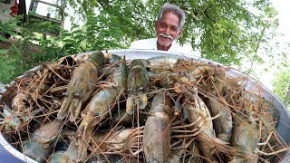 Big Shrimp Curry  Giant prawns Recipe  Yummy Prawns Recipe By Grandpa Kitchen [upl. by Ocirnor842]