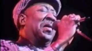 Muddy Waters  Mannish Boy Live  Amazing Version from Eric Claptons film Rolling hotel Manish Boy [upl. by Marasco]