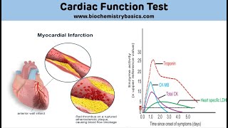 Cardiac Biomarkers Biochemistry  Cardiac Function Test Biochemistry [upl. by Connel]