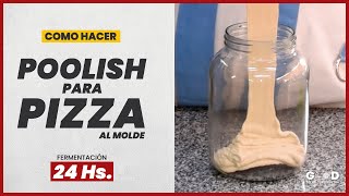 POOLISH para PIZZA  Qué es y cómo hacer PIZZA con POOLISH [upl. by Huoh]